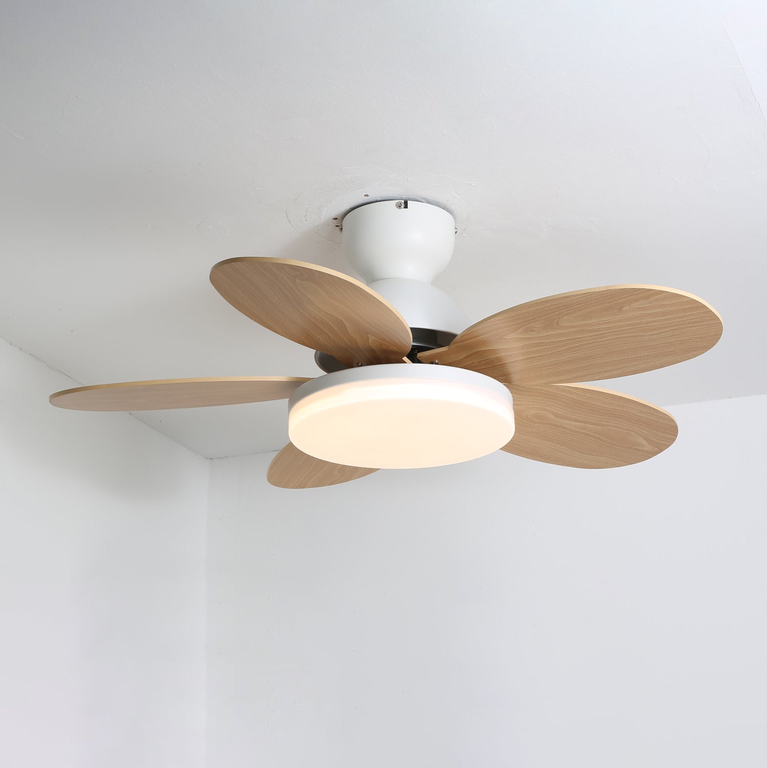 Deckenventilator mit Licht Teridi